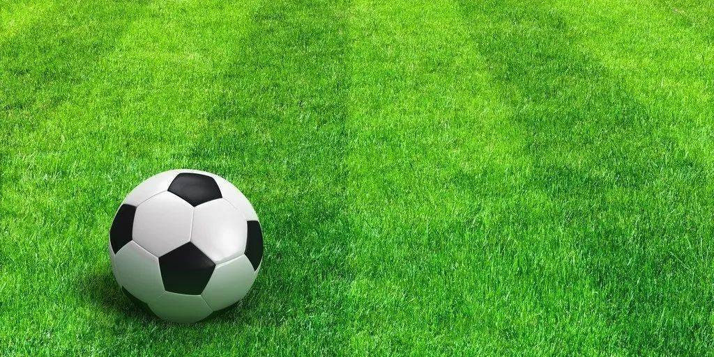 雷速体育指数版应用特色展示